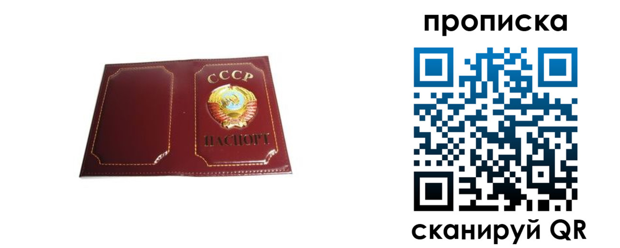 прописка гарантия в Холмске